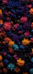 Amoled Flowers Wallpaper