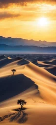 Desert Dawn Light Wallpaper