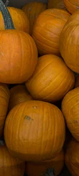 Close-Up Pumpkin Image