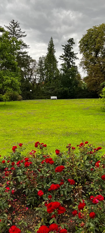 Empty Park Bench Photo