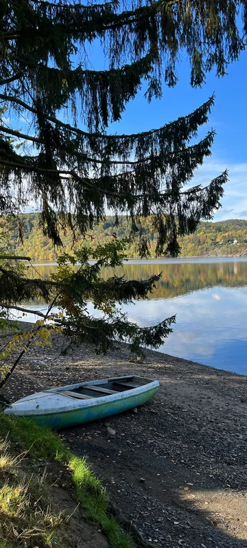 Boat On The Shore Photo