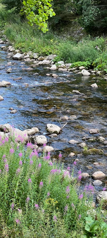 River Stones Image 