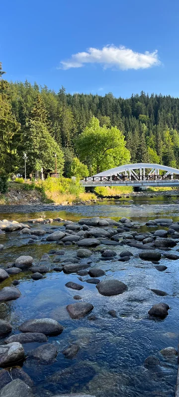 Mountain River Screen 