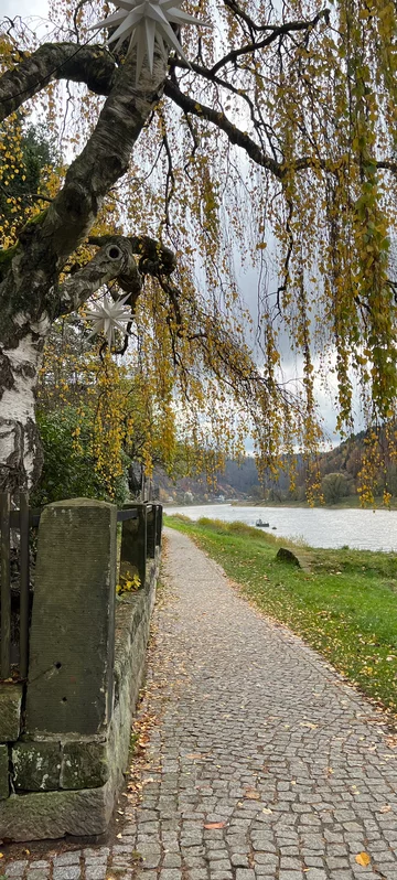 Street Path By River 