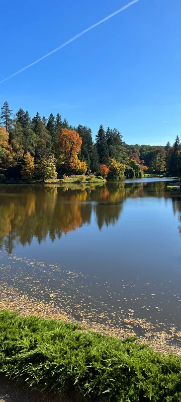 Autumn River Landscape