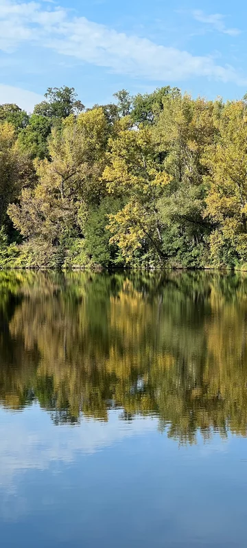 Autumn Forest River Wallpaper