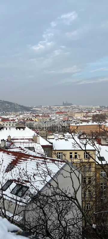 Snowy City Roofs Wallpaper