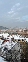 Snowy City Roofs Wallpaper