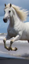 White Horse on Black Beach Screen