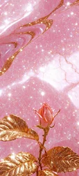 Gold Rose Pink Background
