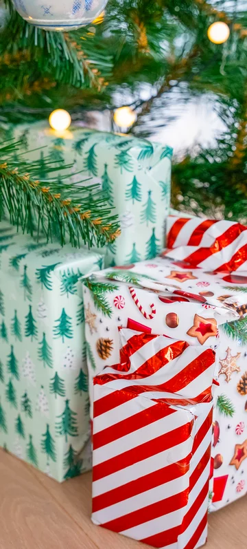 Gift Boxes Under The Christmas Tree