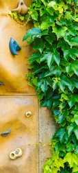 Ivy On Stone Climbing Wall 
